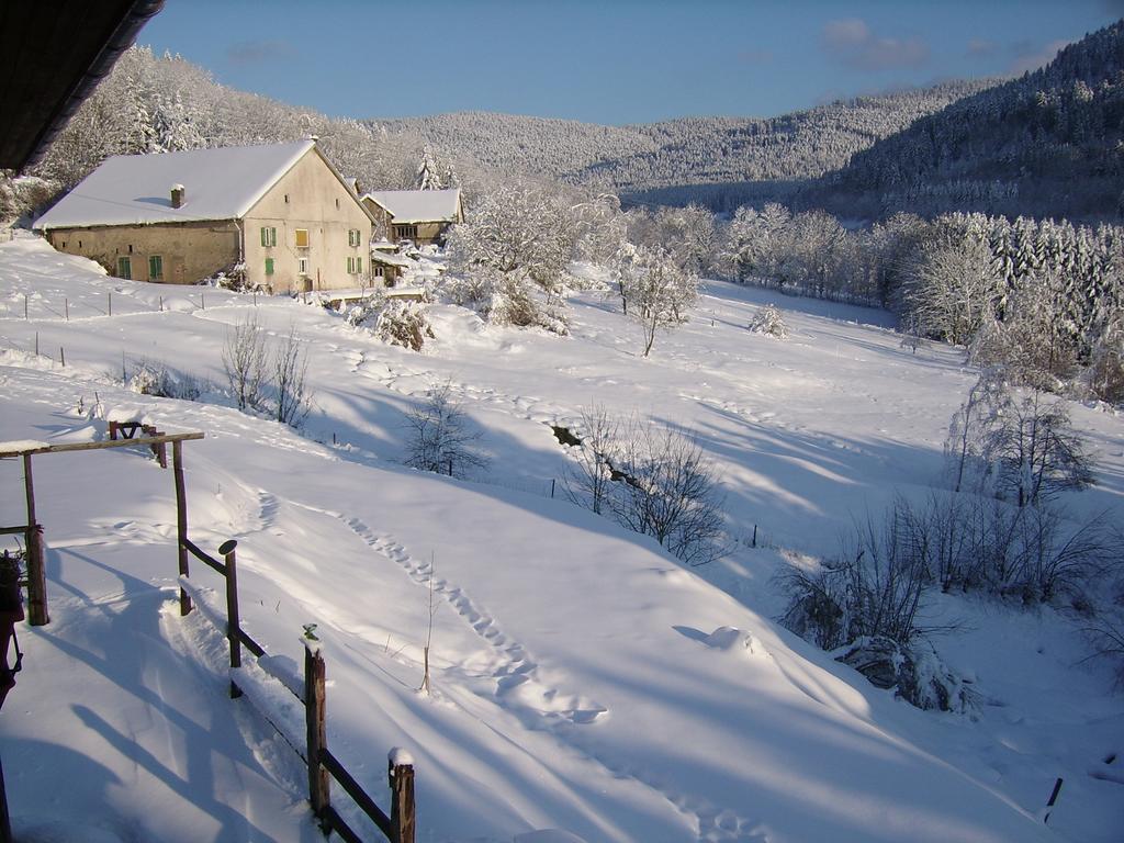 Auberge De La Grange Spa & Sauna Plainfaing Exterior photo