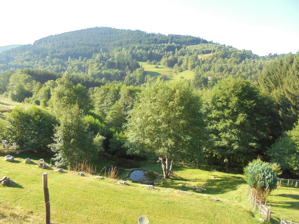 Auberge De La Grange Spa & Sauna Plainfaing Exterior photo