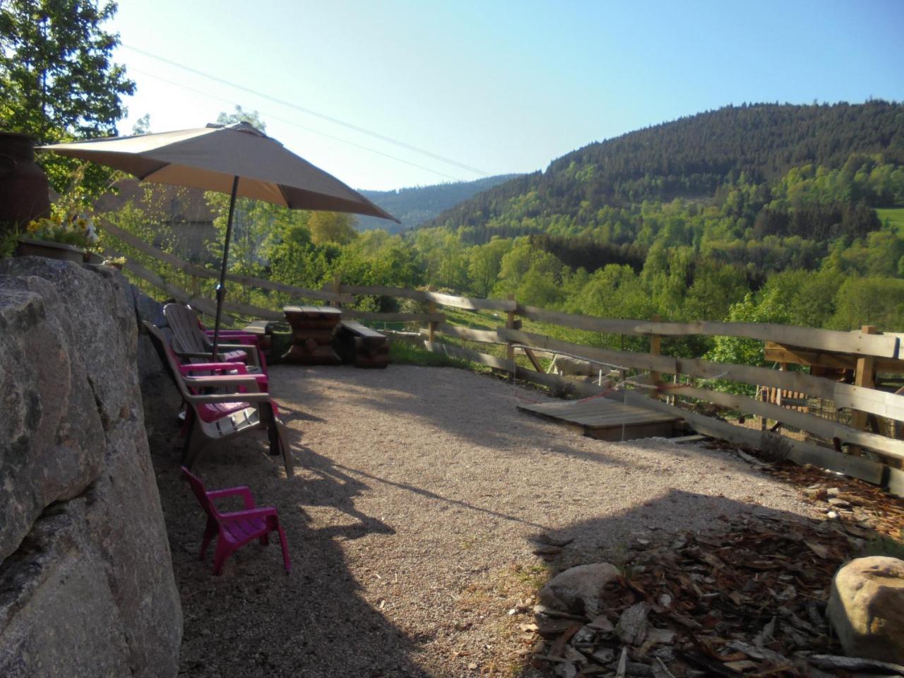 Auberge De La Grange Spa & Sauna Plainfaing Exterior photo